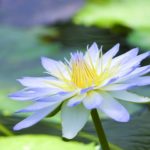 心の平安を得るには