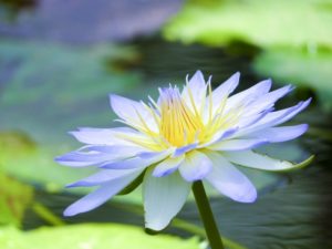 心の平安を得るには