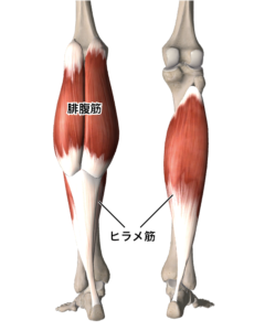 いままで運動全般が苦手だった理由を、今になって解説する