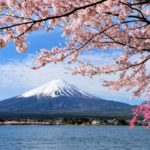 この日本という国に生まれてきてよかった。そして、、、