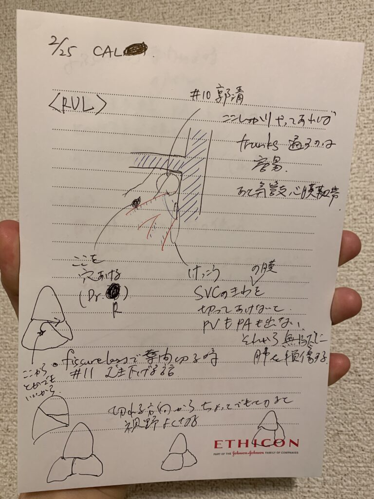 【気管支先行処理の勉強しよう】【動脈の立体解剖構造は読めてるけど気管支の立体解剖構造が読めてない】2/25手術トレーニング(cadaver)に参加して