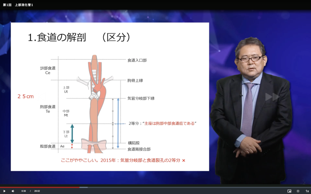 食道の良性疾患と、解剖少し