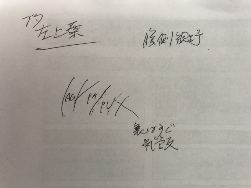 見上げVATSブタ左上葉切除