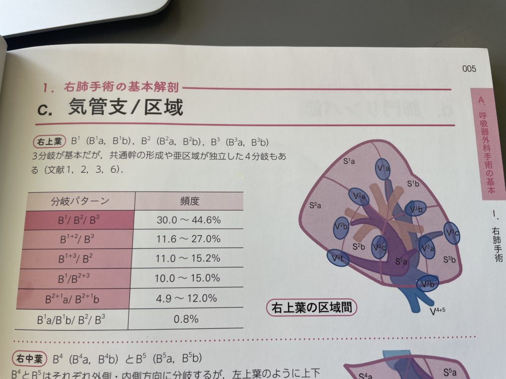 central veinとは＝あと右上葉の区域解剖なども＝右上葉の区域切除各論
