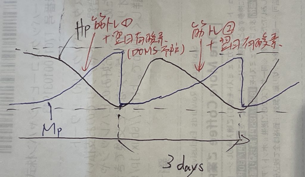 ホルモンの包括的管理＝上にいくためにどうしても必要なこと＝ホルモン管理戦略＝男は、バイオリズムを「自分で作り」「管理する」＝(2025/10/21追記)睡眠取らないとTが減る